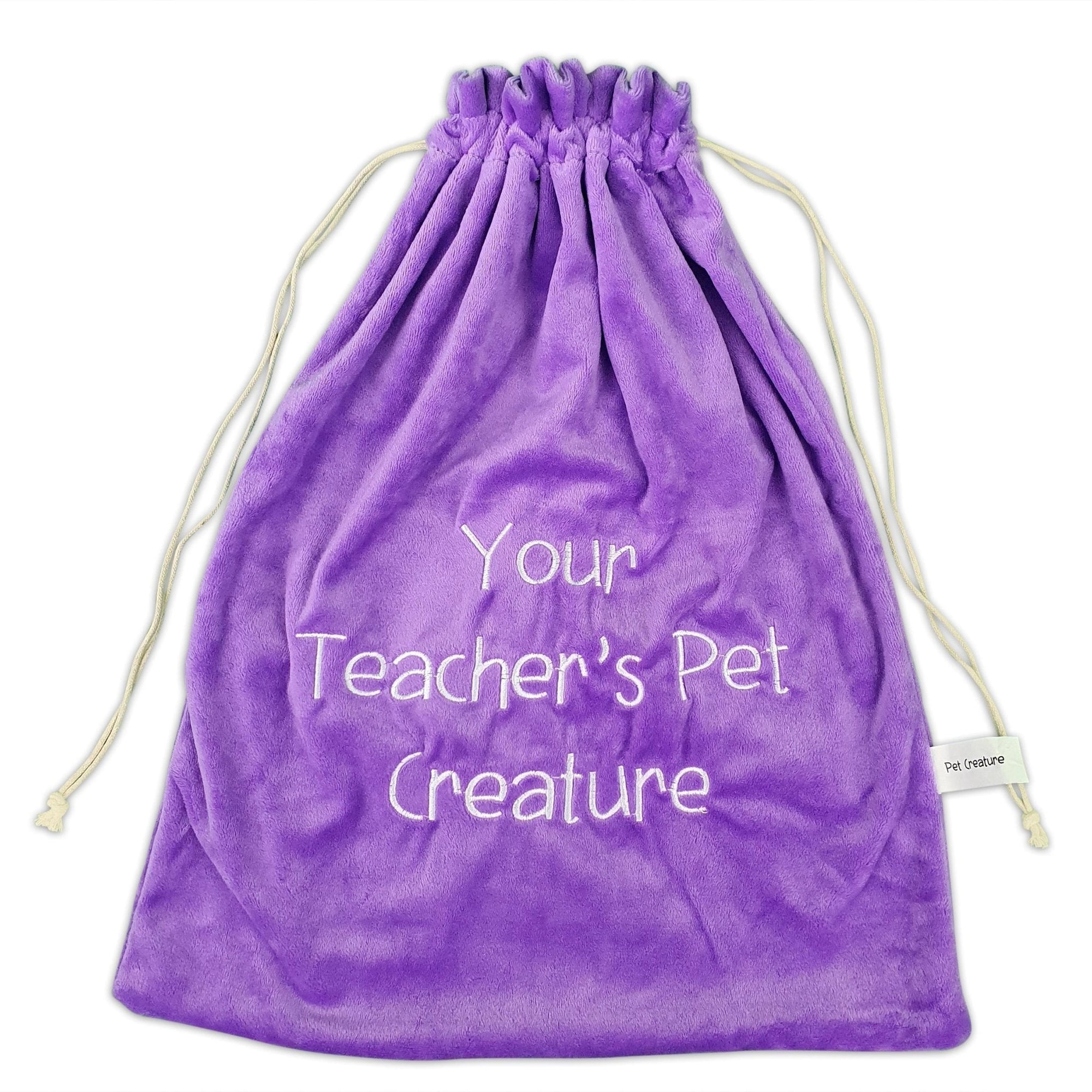 Drawstring Travel and Storage Bag - Purple - Your Teacher's Pet Creature