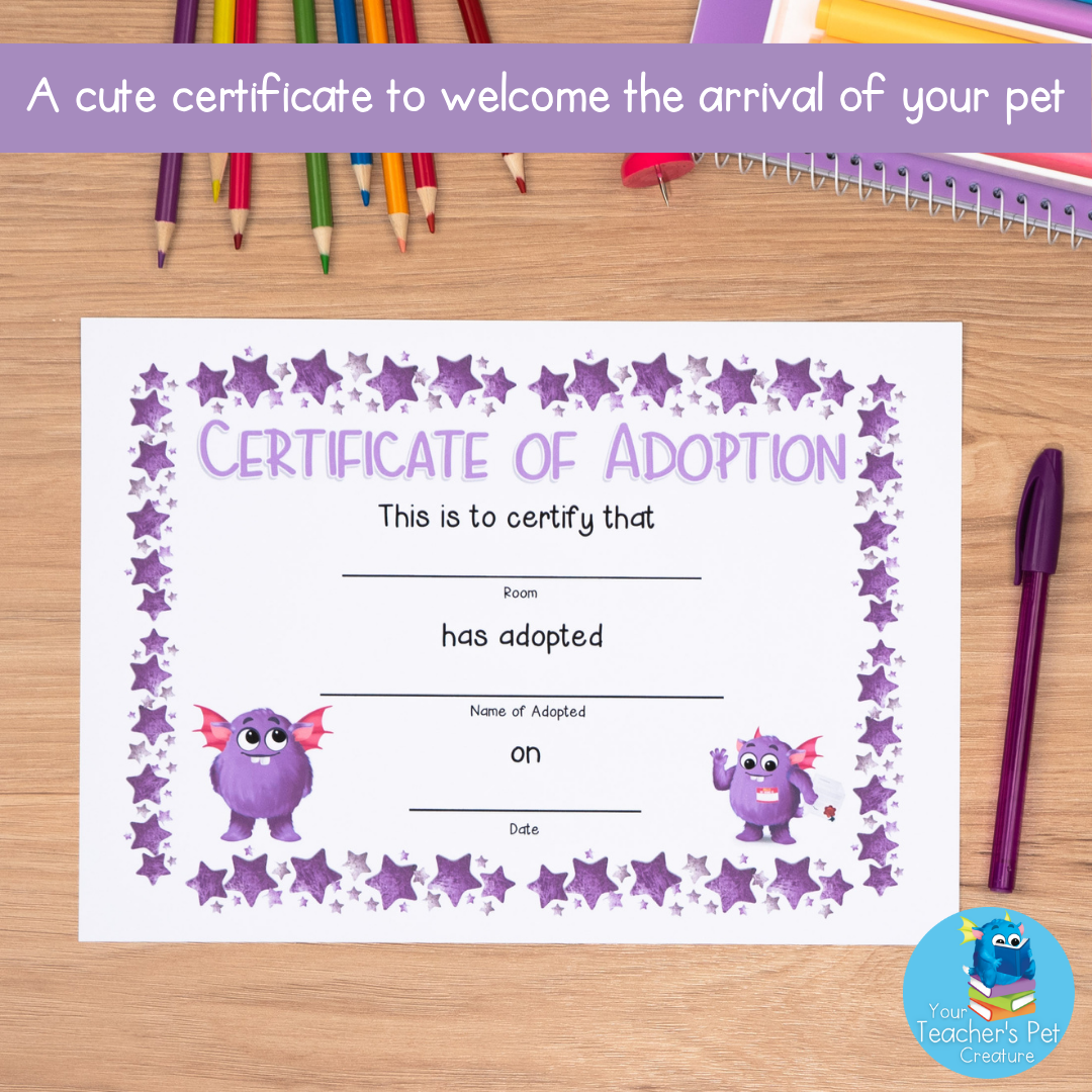 Emotional Regulation Mega Bundle