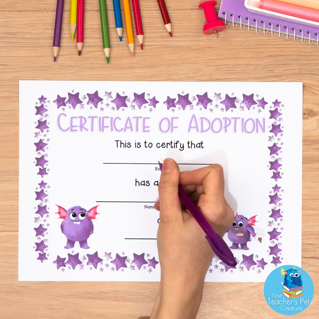 Emotional Regulation Mega Bundle