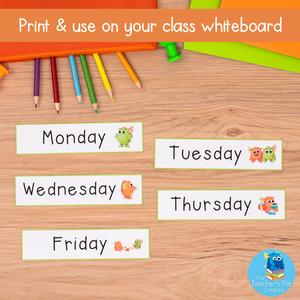 Interactive Wall Calendar - Green and Orange