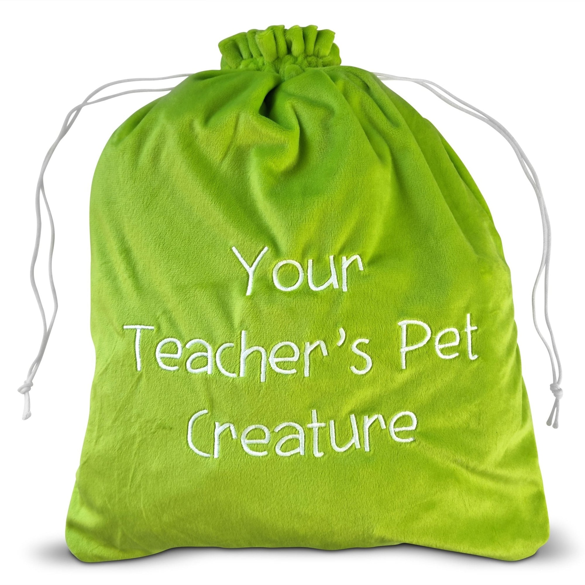 Drawstring Travel and Storage Bag - Green - Your Teacher's Pet Creature