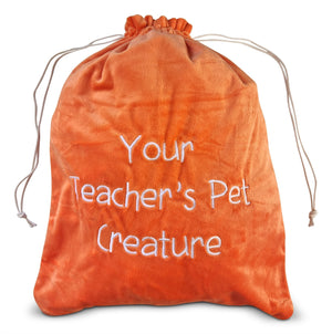 Drawstring Travel and Storage Bag - Orange - Your Teacher's Pet Creature